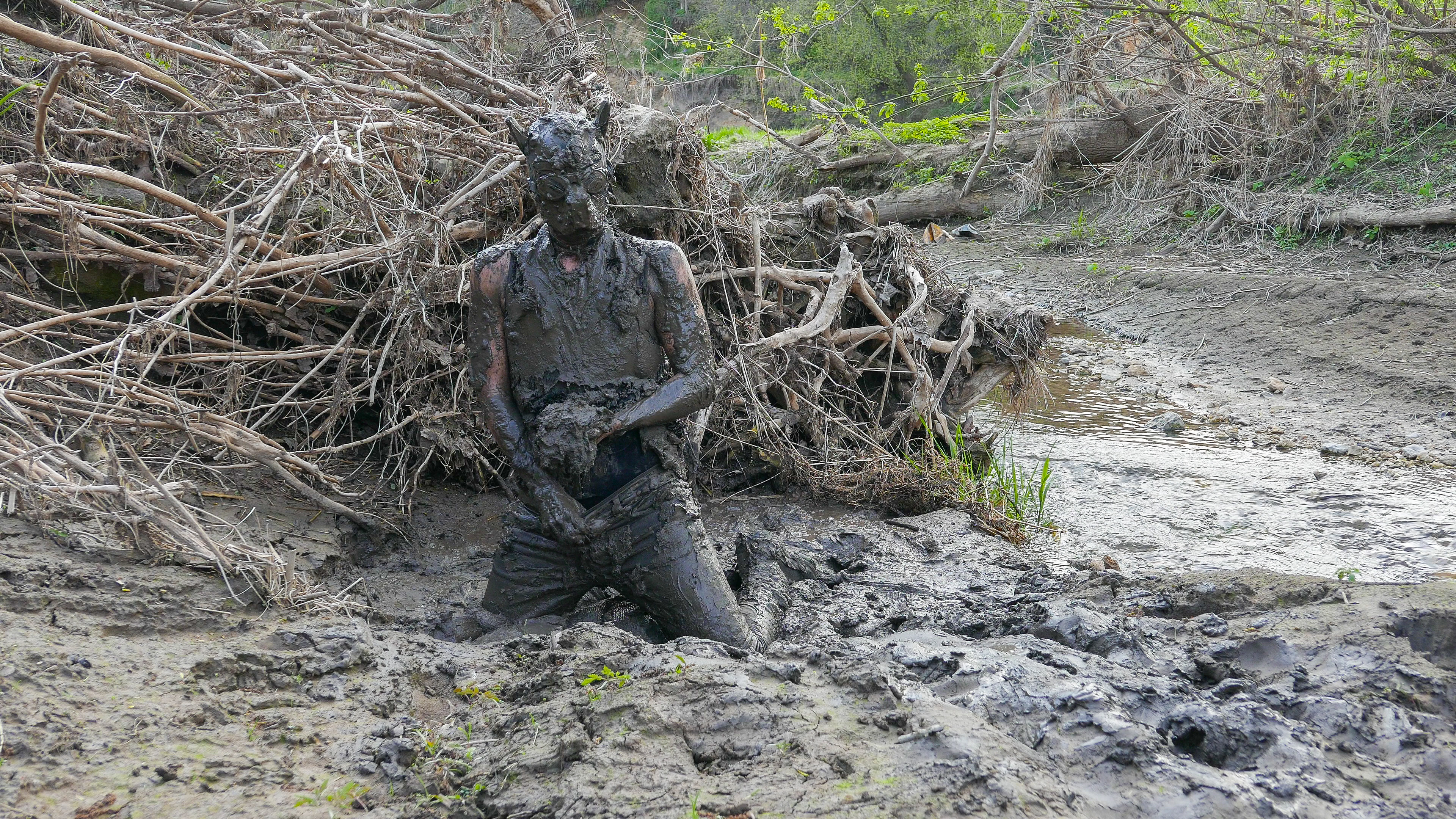 puppers-day-at-the-mud-pit_main.jpg